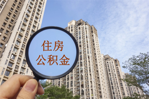 乐陵离职多久可以取住房公积金(离职多久后能取公积金) 乐陵离职多久可以取住房公积金(离职多久后能取公积金)